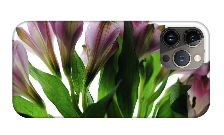 Pink Flowers Green Stems - Phone Case