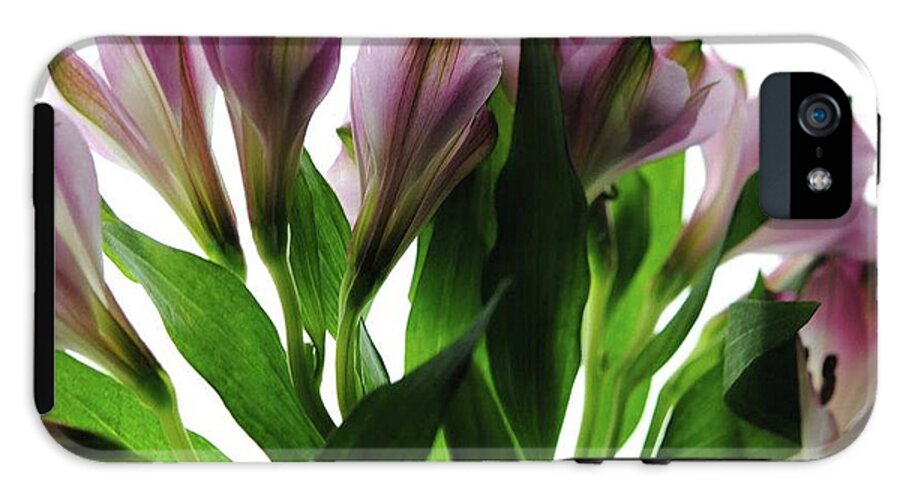 Pink Flowers Green Stems - Phone Case