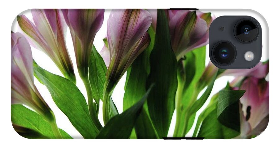 Pink Flowers Green Stems - Phone Case
