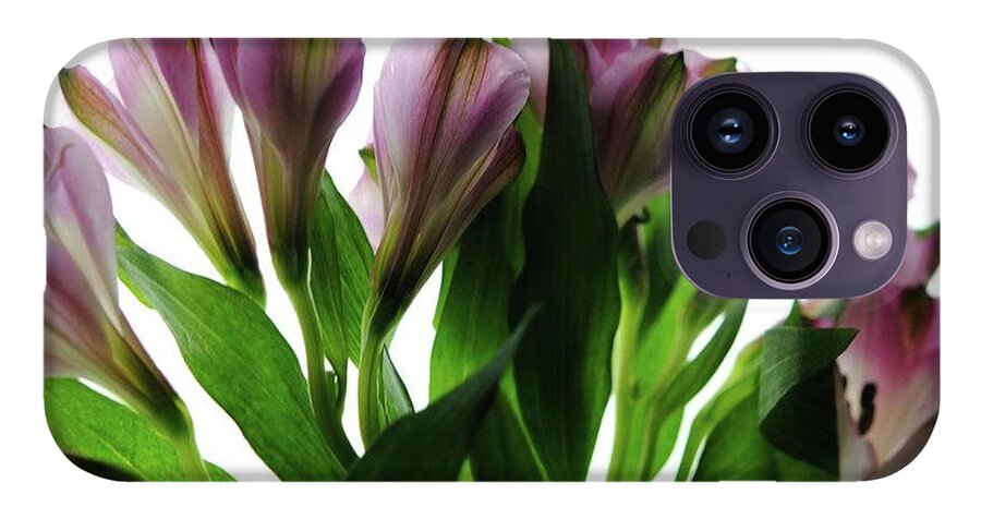 Pink Flowers Green Stems - Phone Case