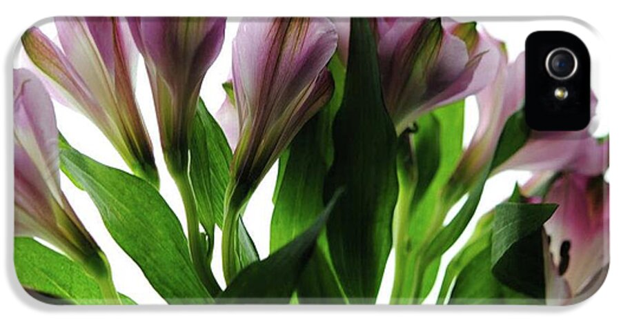 Pink Flowers Green Stems - Phone Case
