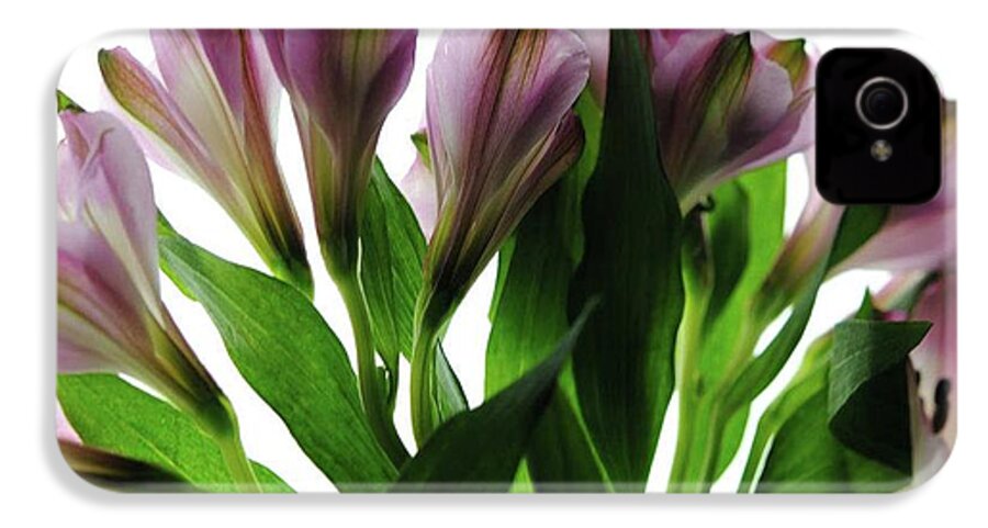 Pink Flowers Green Stems - Phone Case