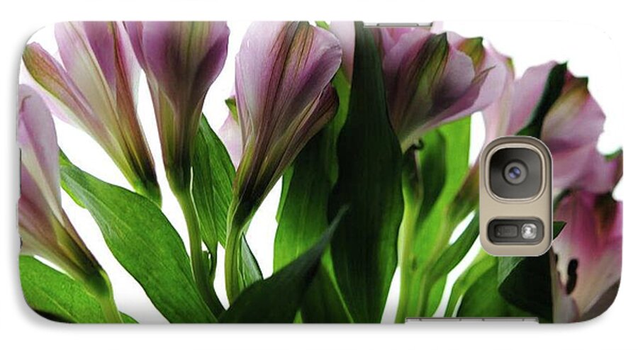 Pink Flowers Green Stems - Phone Case