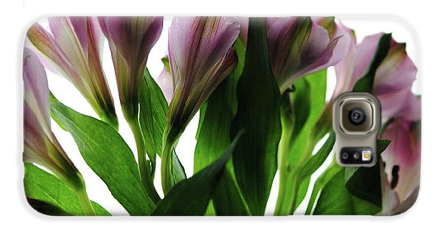 Pink Flowers Green Stems - Phone Case