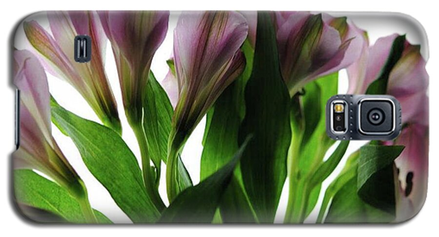 Pink Flowers Green Stems - Phone Case