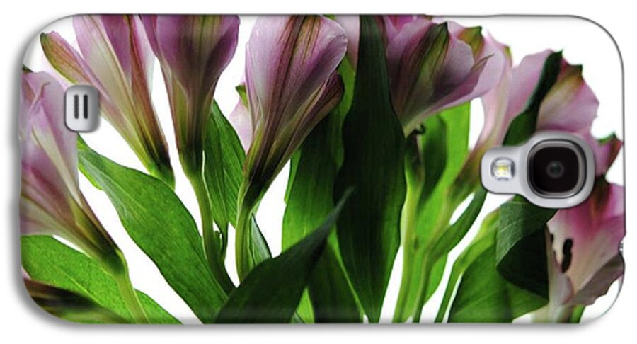 Pink Flowers Green Stems - Phone Case
