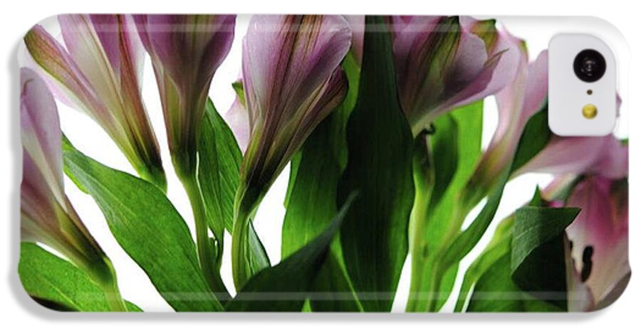Pink Flowers Green Stems - Phone Case