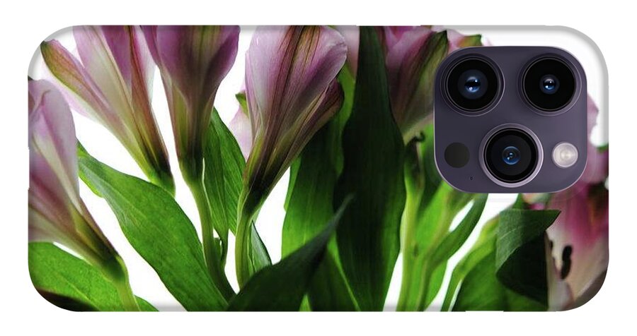 Pink Flowers Green Stems - Phone Case
