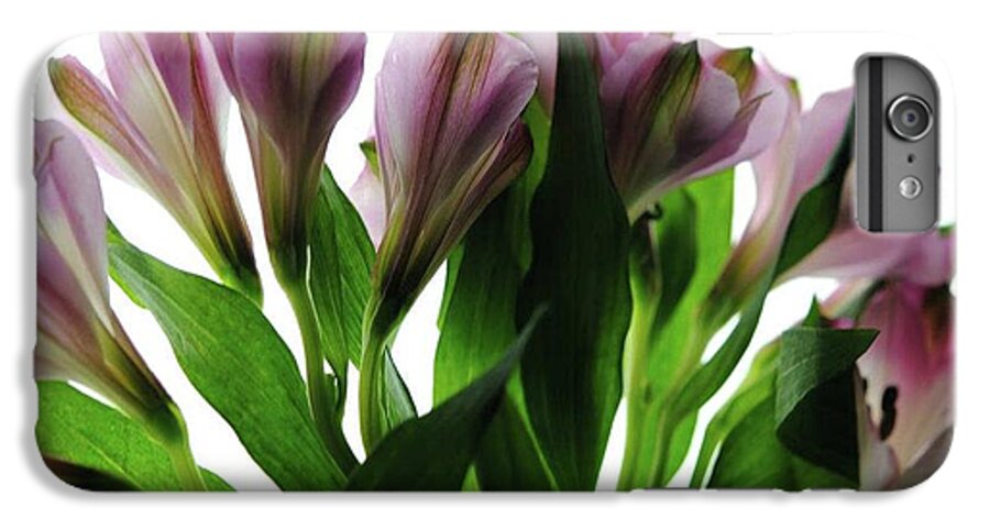 Pink Flowers Green Stems - Phone Case