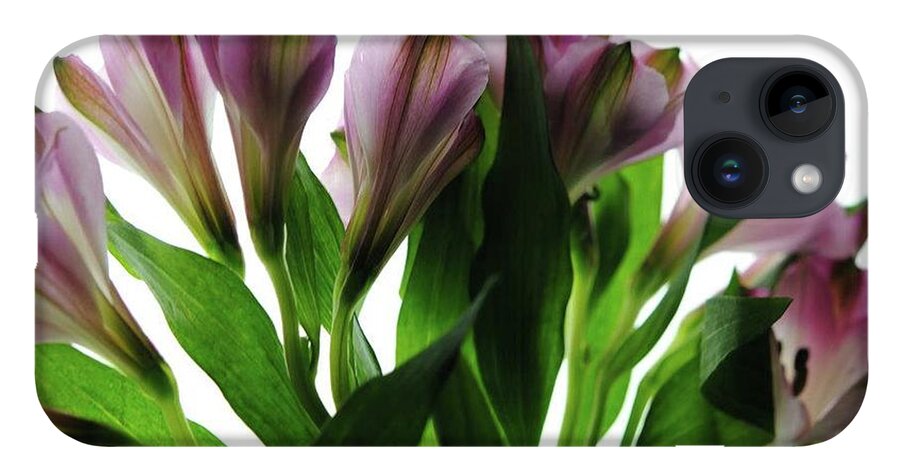 Pink Flowers Green Stems - Phone Case