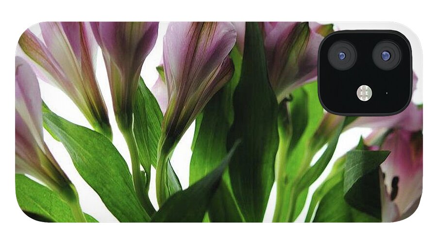 Pink Flowers Green Stems - Phone Case