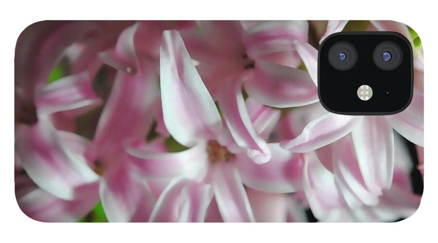 Pink Hyacinth Flower - Phone Case