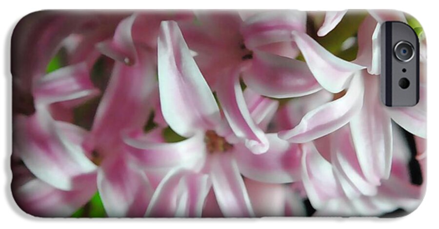 Pink Hyacinth Flower - Phone Case