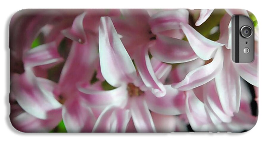 Pink Hyacinth Flower - Phone Case