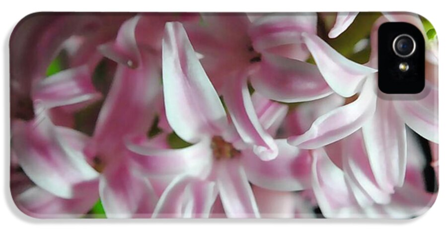 Pink Hyacinth Flower - Phone Case