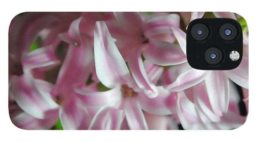 Pink Hyacinth Flower - Phone Case