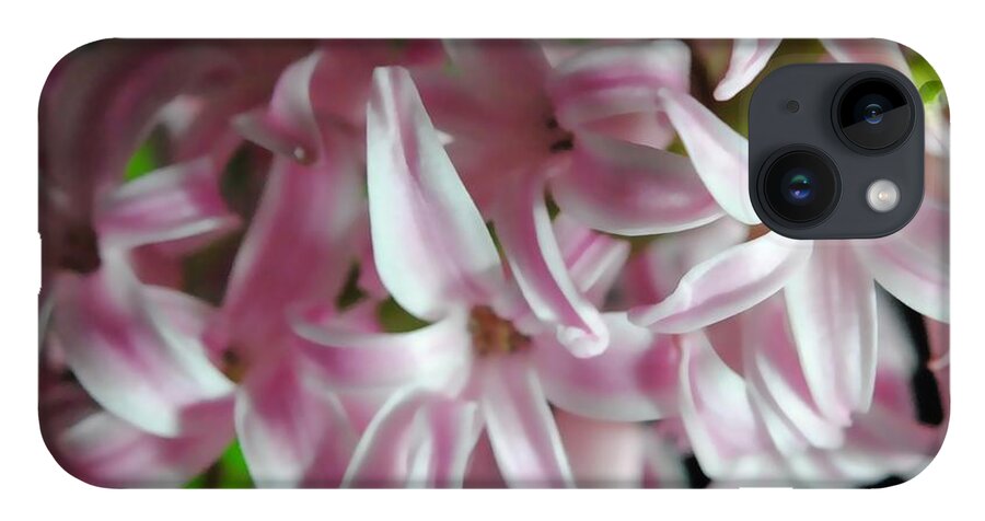 Pink Hyacinth Flower - Phone Case