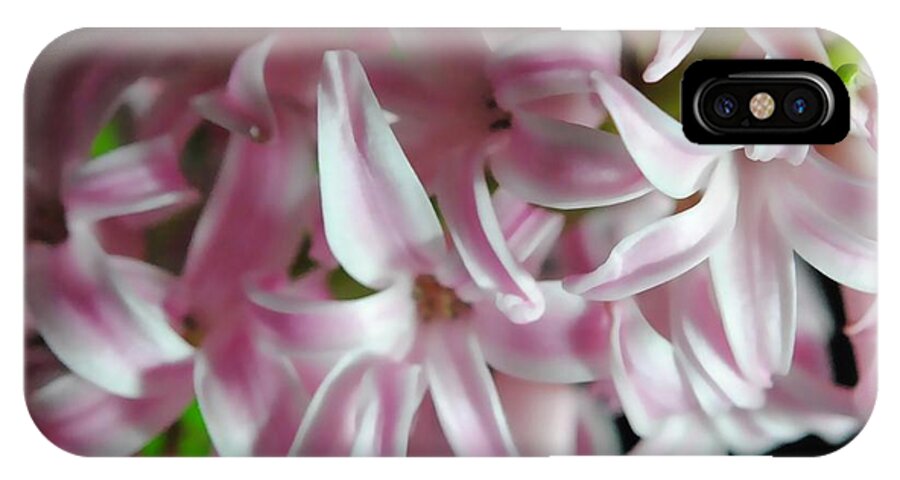 Pink Hyacinth Flower - Phone Case