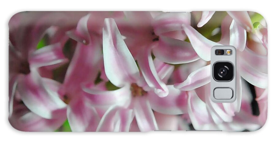 Pink Hyacinth Flower - Phone Case