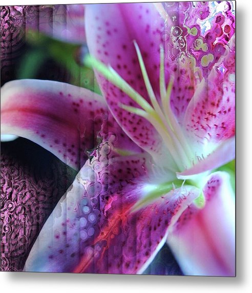 Pink Lily Abstract - Metal Print
