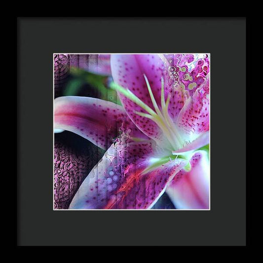 Pink Lily Abstract - Framed Print