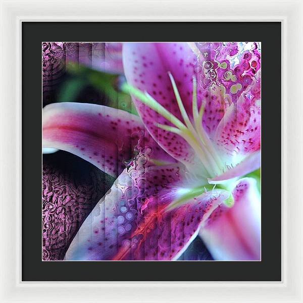 Pink Lily Abstract - Framed Print