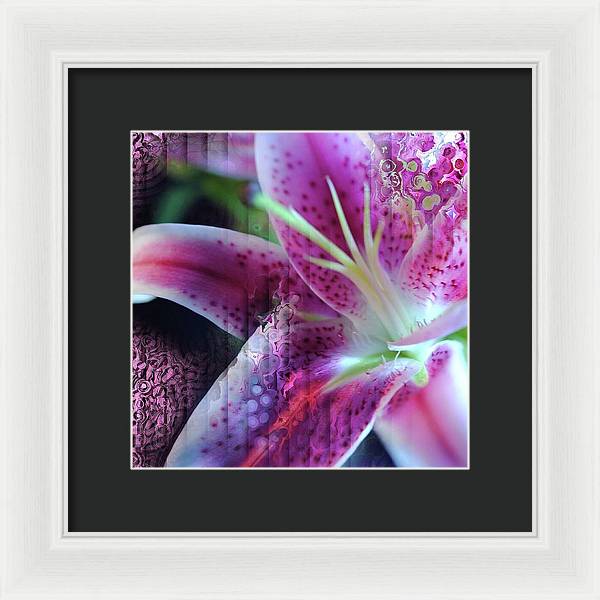 Pink Lily Abstract - Framed Print