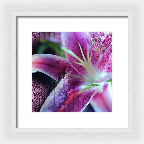 Pink Lily Abstract - Framed Print