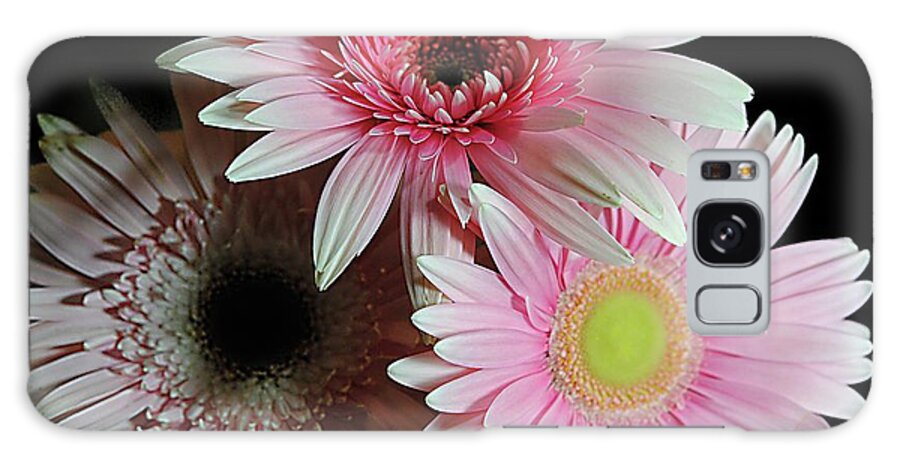 Pink Pastel Daisy Bouquet - Phone Case