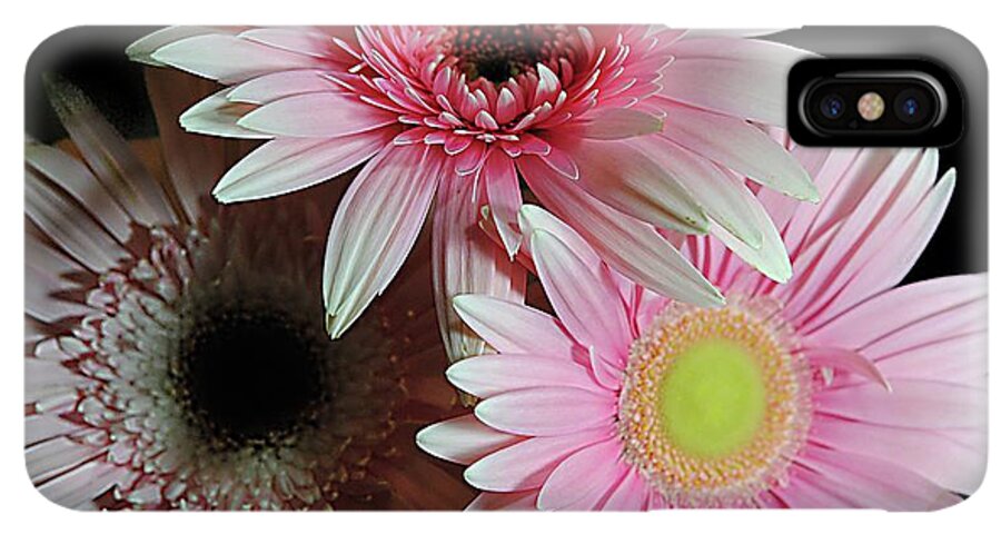 Pink Pastel Daisy Bouquet - Phone Case