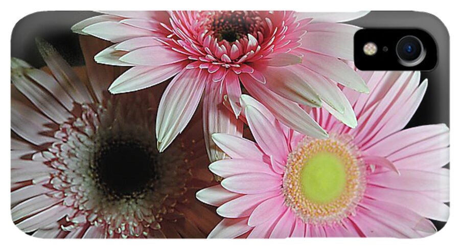 Pink Pastel Daisy Bouquet - Phone Case