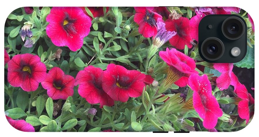 Pink Petunias - Phone Case