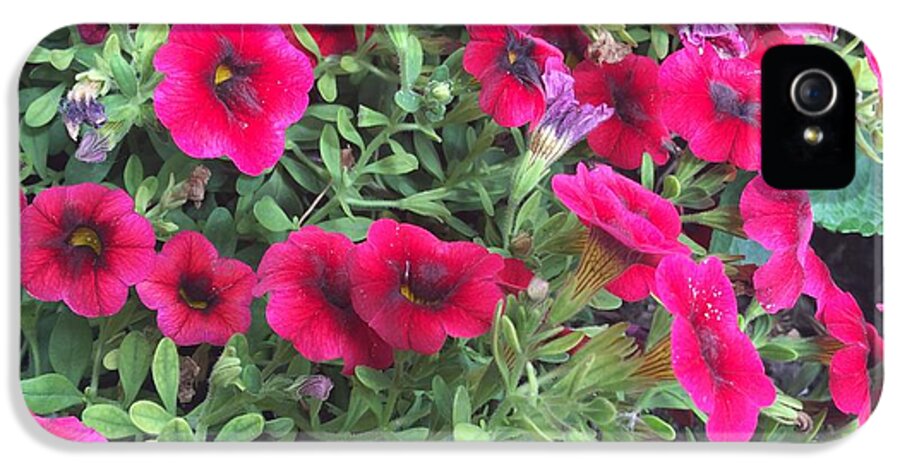 Pink Petunias - Phone Case