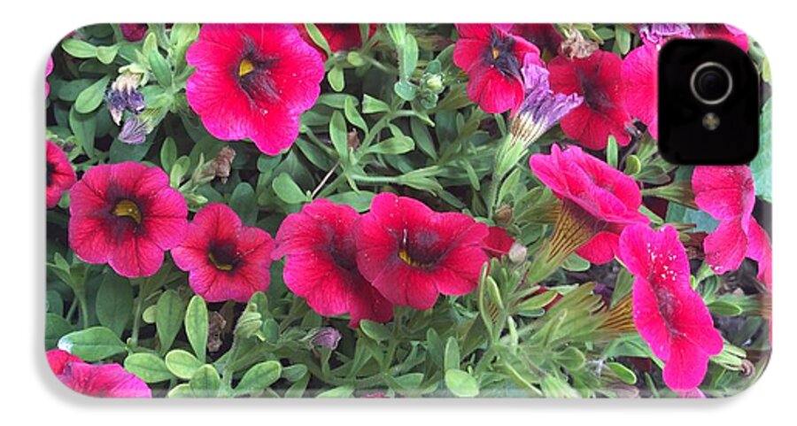 Pink Petunias - Phone Case