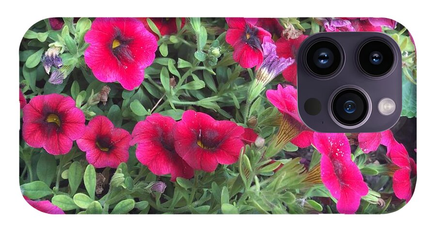 Pink Petunias - Phone Case