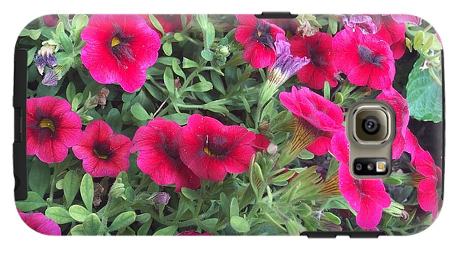 Pink Petunias - Phone Case