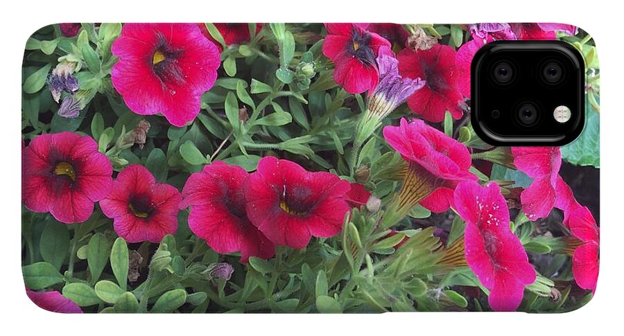 Pink Petunias - Phone Case