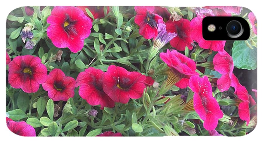 Pink Petunias - Phone Case
