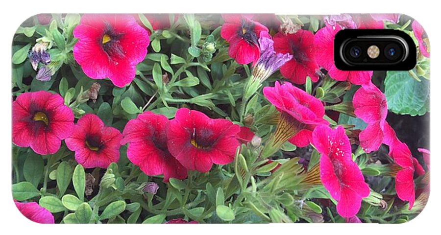 Pink Petunias - Phone Case