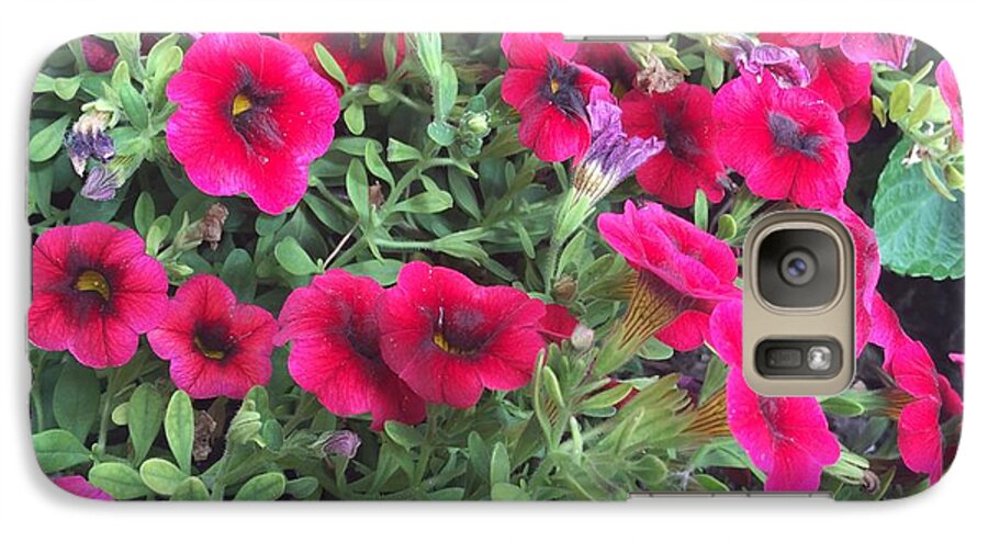Pink Petunias - Phone Case