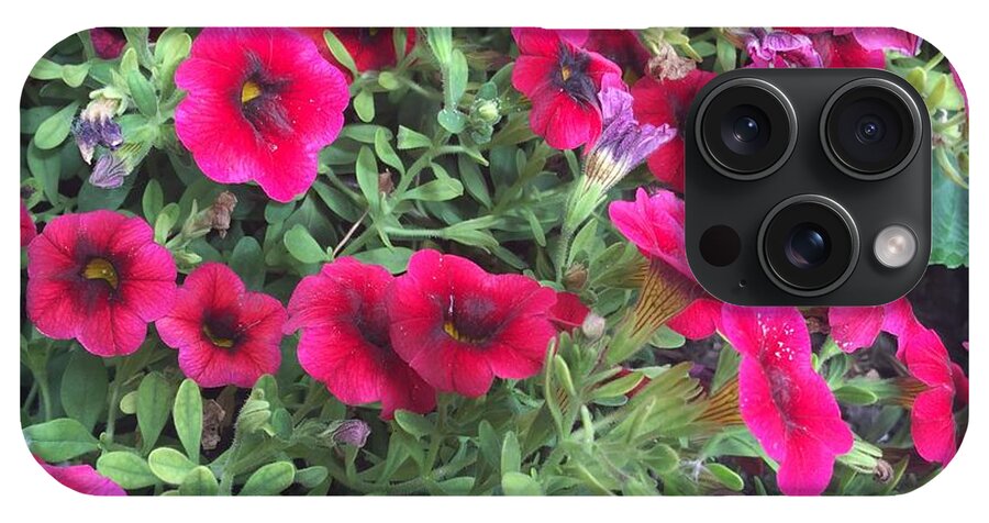 Pink Petunias - Phone Case