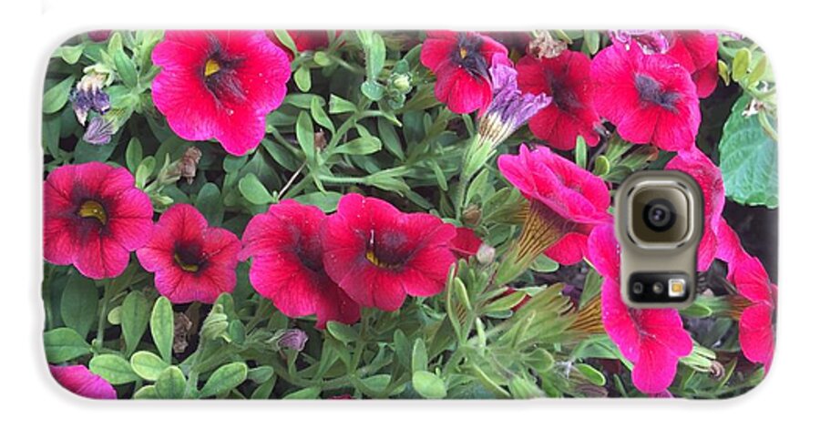 Pink Petunias - Phone Case