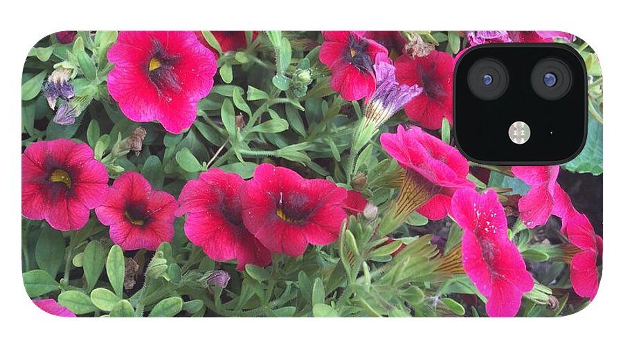 Pink Petunias - Phone Case
