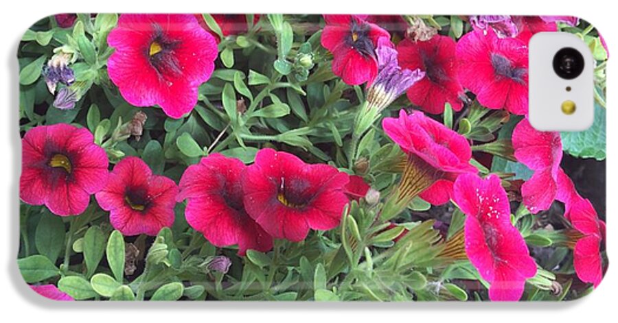 Pink Petunias - Phone Case