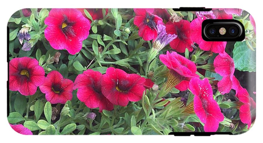 Pink Petunias - Phone Case