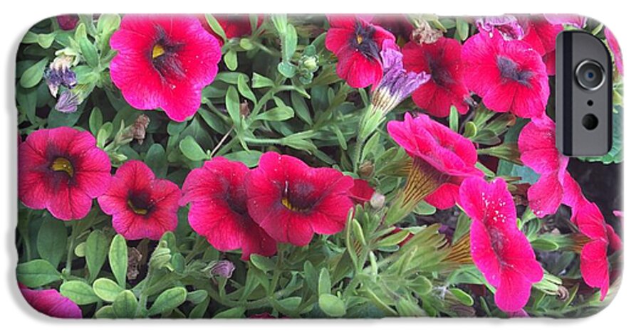 Pink Petunias - Phone Case
