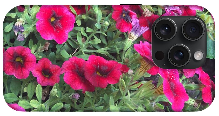 Pink Petunias - Phone Case