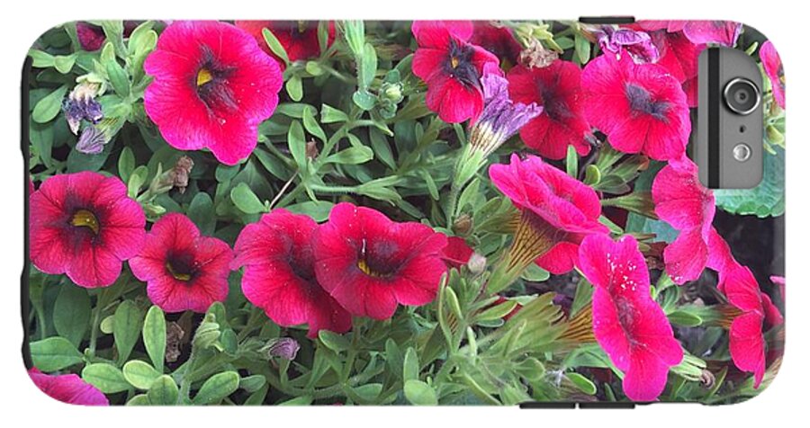 Pink Petunias - Phone Case