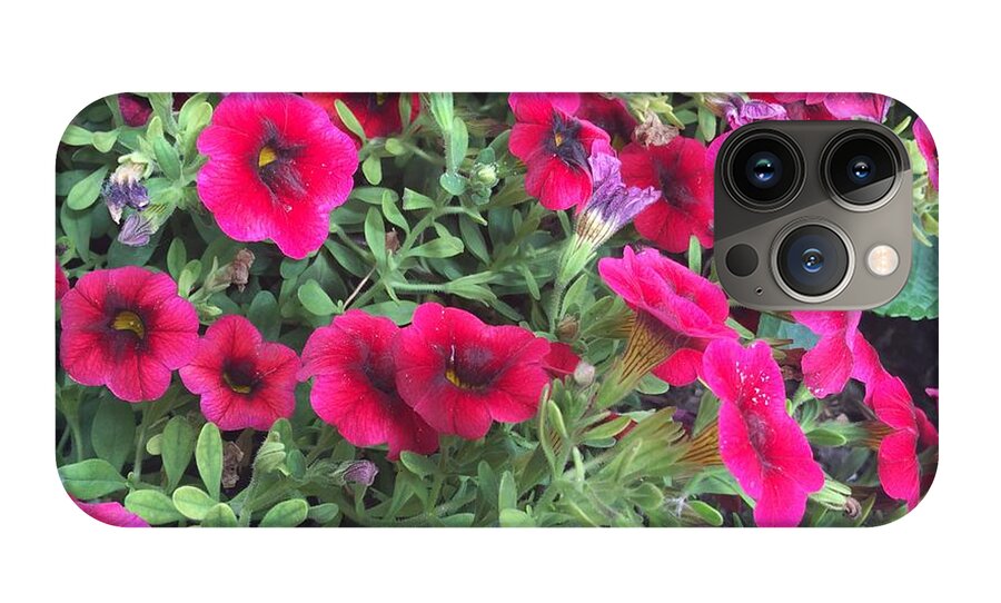 Pink Petunias - Phone Case