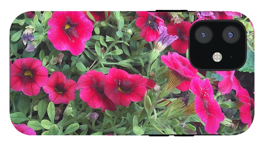 Pink Petunias - Phone Case